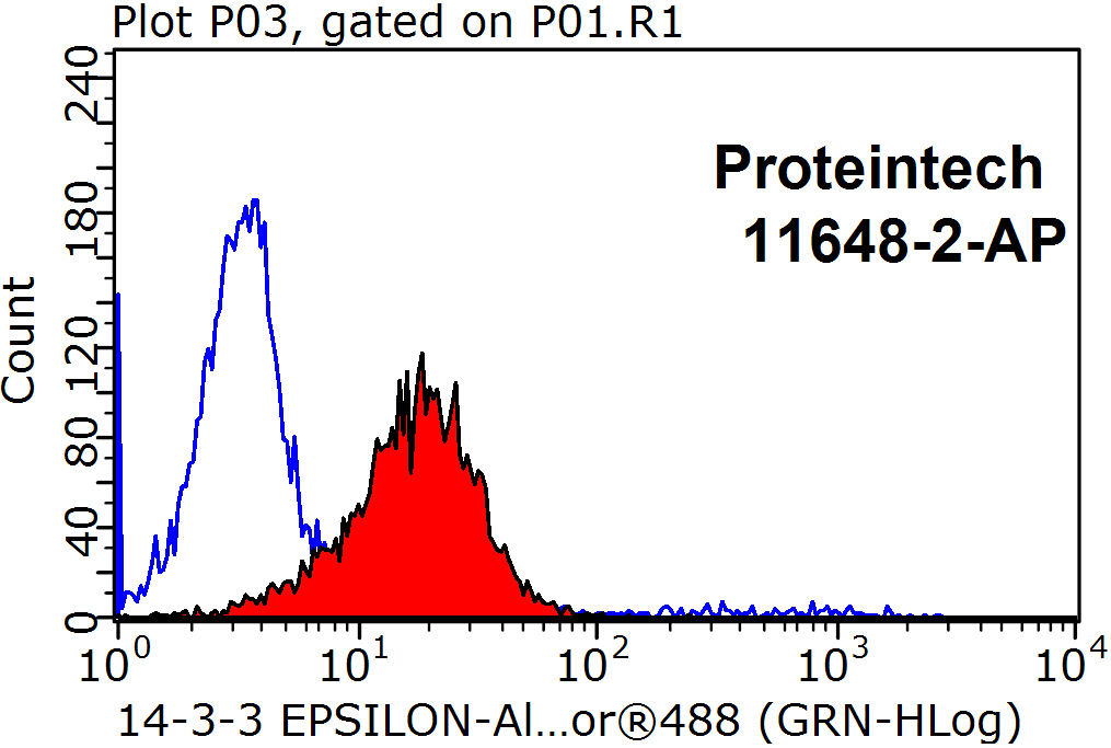 11648-2-AP;HepG2 cells