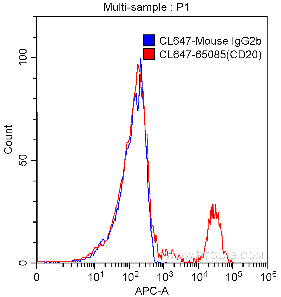 CD20 Antibody CL647 65085 Proteintech cd20-antibody-cl647-65085-proteintech