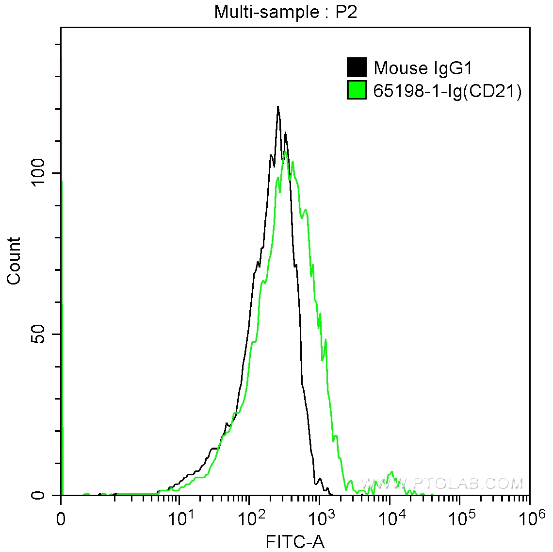 CD21 Antibody 651981Ig Proteintech
