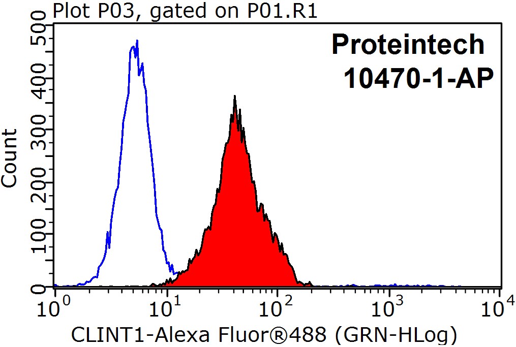 10470-1-AP;HepG2 cells