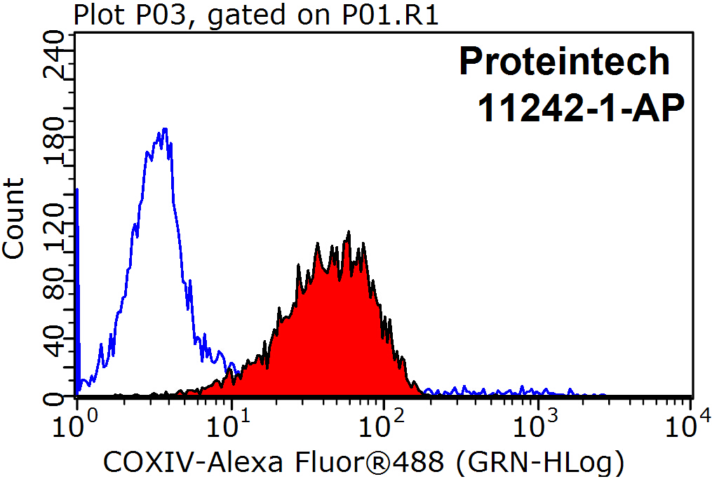 11242-1-AP;HepG2 cells