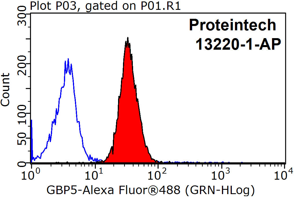 13220-1-AP;MCF-7 cells
