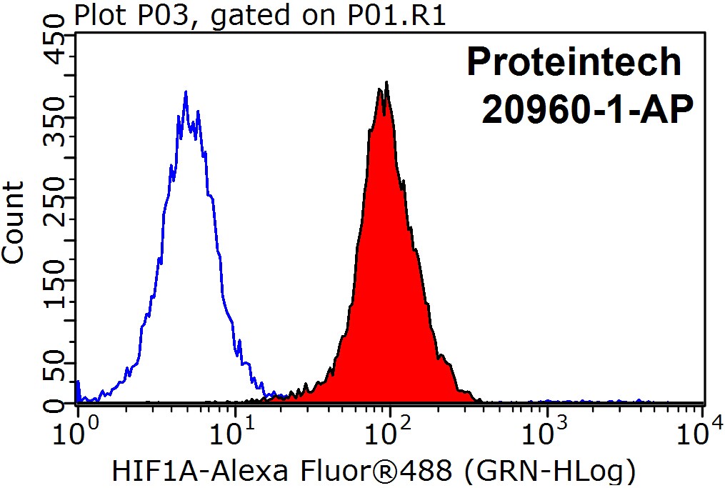 HIF1a抗体抗体抗体生物在线