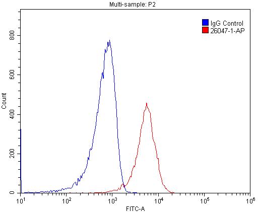 26047-1-AP;RAW 264.7 cells