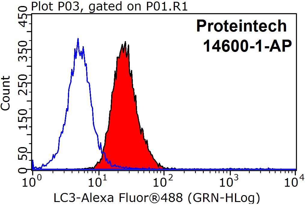 14600-1-AP;HeLa cells