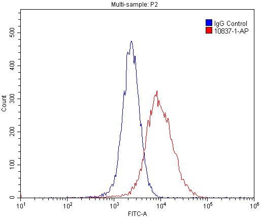 10837-1-AP;MCF-7 cells
