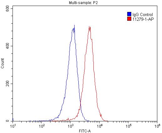 11279-1-AP;Raji cells
