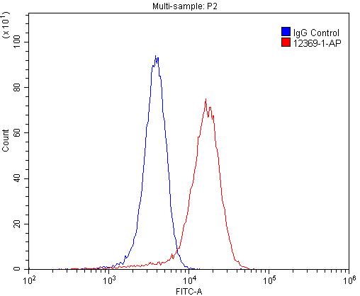12369-1-AP;SH-SY5Y cells