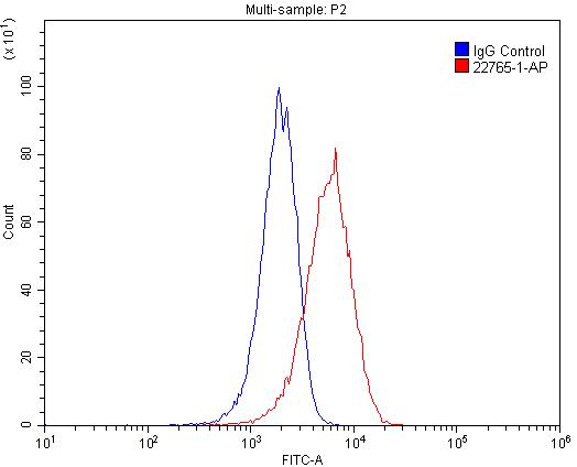 22765-1-AP;HeLa cells