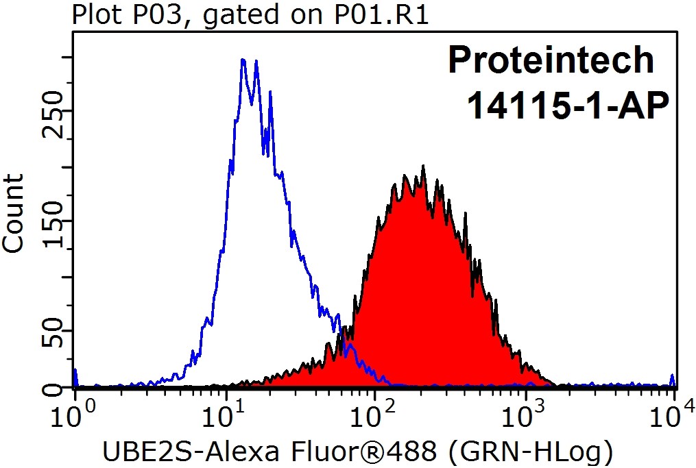 14115-1-AP;Jurkat cells