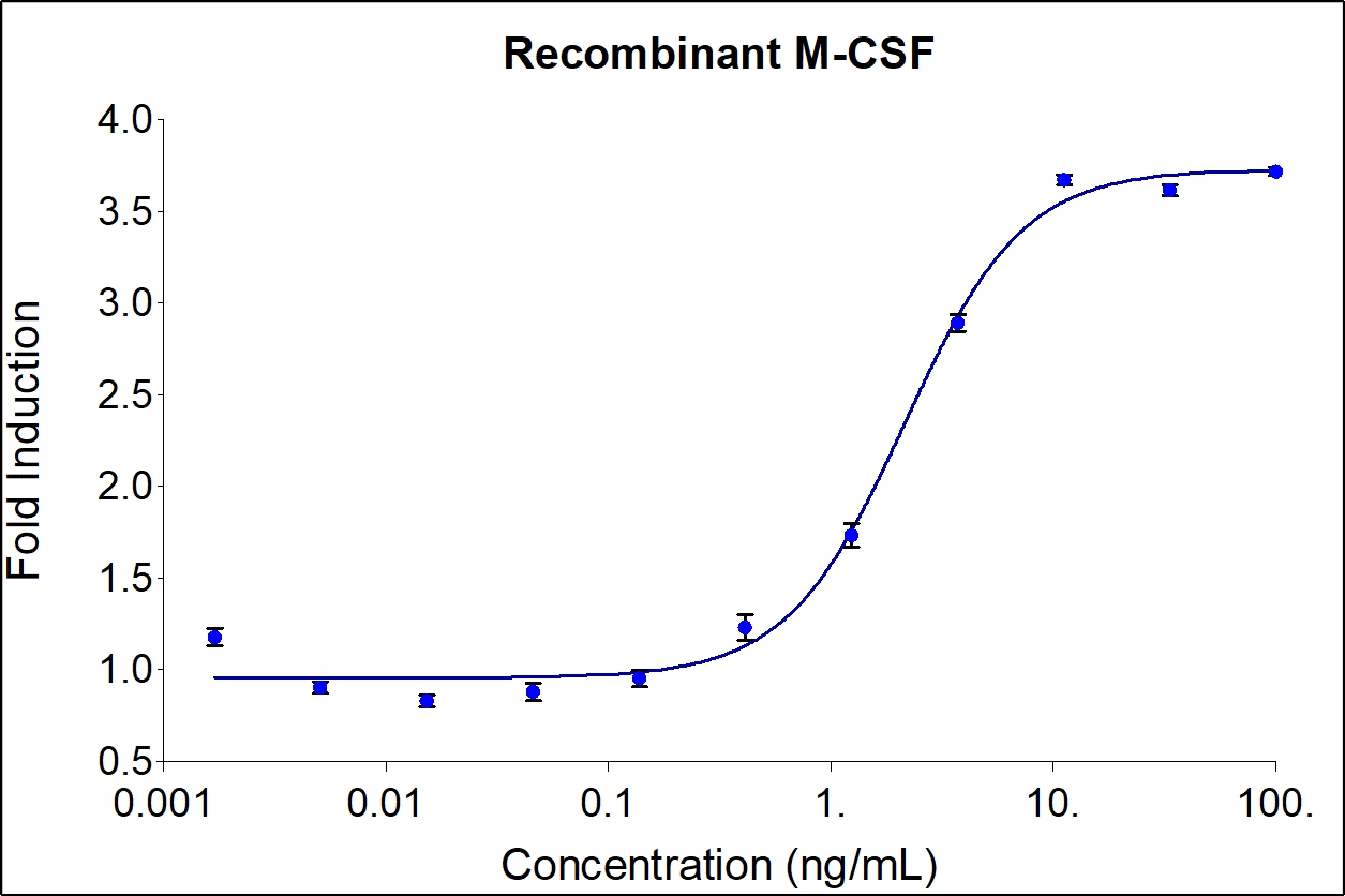 animal-free recombinant human m-csf