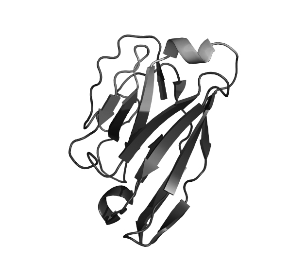 gfp-vhh-biotinylated-recombinant-binding-protein-proteintech