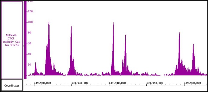 AbFlex CTCF recombinant antibody (rAb) tested by ChIP-Seq Chromatin immunoprecipitation (ChIP) was performed using the ChIP-IT High Sensitivity Kit (Cat. No. 53040) with 30 ug of MCF7 chromatin and 4 ug of CTCF antibody. ChIP DNA was sequenced on the Illumina NextSeq and 8.9 million sequence tags were mapped to identify CTCF binding sites on chromosome 9.