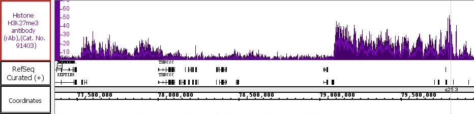 AbFlex Histone H3K27me3 antibody (rAb) tested by ChIP-Seq Chromatin immunoprecipitation (ChIP) was performed using the ChIP-IT High Sensitivity Kit (Cat. No. 53040) with 17 ug of B2B cell chromatin and 5 ug of antibody. ChIP DNA was sequenced on the Illumina NextSeq and 14 million sequence tags were mapped to identify Histone H3K27me3 binding sites on chromosome 17.