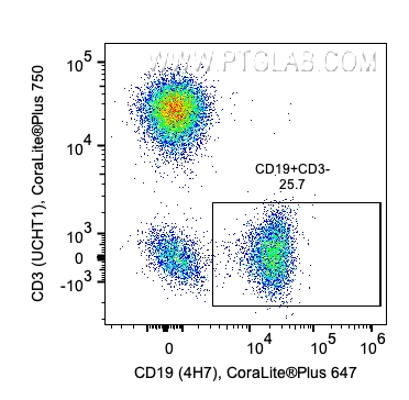 用Human B Cell Basics Panel（PK30008）对1x10^6人外周血单核细胞进行染色。对CD3-/CD19+细胞设门。目标细胞群：CD45+淋巴细胞。细胞未固定。