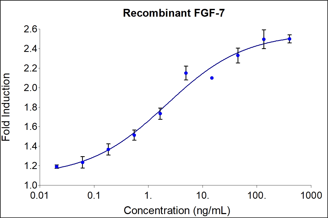 Humankine FGF7 (KGF) protein endotoxin free, human cell