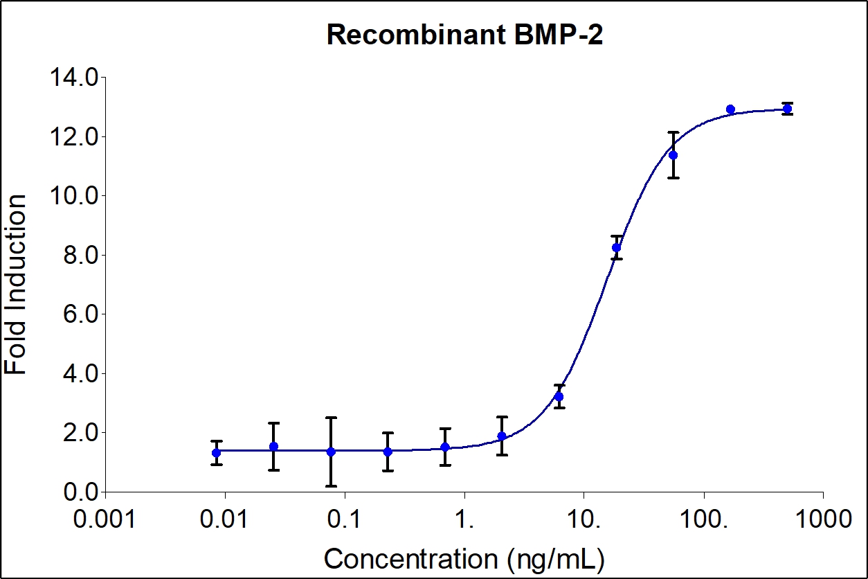 Humankine BMP2 protein endotoxin free, human cell