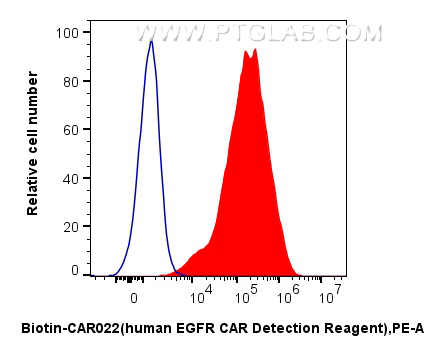 1x10^6 HEK-293 cells (blue) or anti-EGFR CAR pool with CD8a hinge region and transmembrane region transfected HEK-293 cells (red) were surface stained with 0.25 ug  FcZero-CAR™ Biotin-EGFR CAR Detection Reagent, Human (Biotin-CAR022) and Streptavidin-PE Conjugate (PE-PF00030). Cells were not fixed.