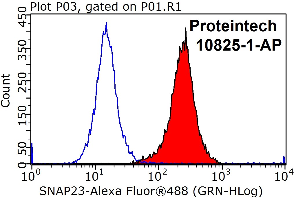 https://www.ptgcn.com/Products/Pictures/SNAP23-Antibody-10825-1-AP-FC-25648.jpg