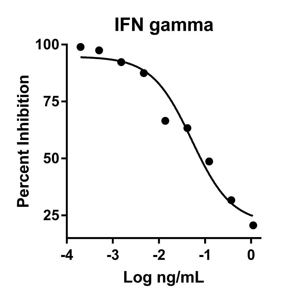 Animal-free Recombinant Human IFN gamma | Proteintech
