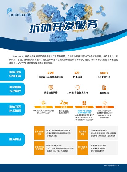 抗体开发服务单页