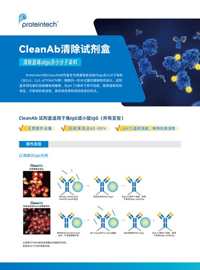 CleanAb清除试剂盒