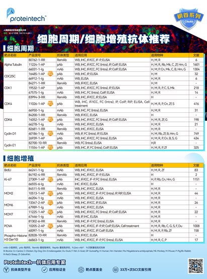 细胞周期&细胞增殖抗体