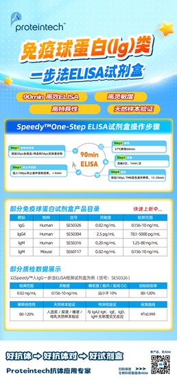 免疫球蛋白类ELISA试剂盒