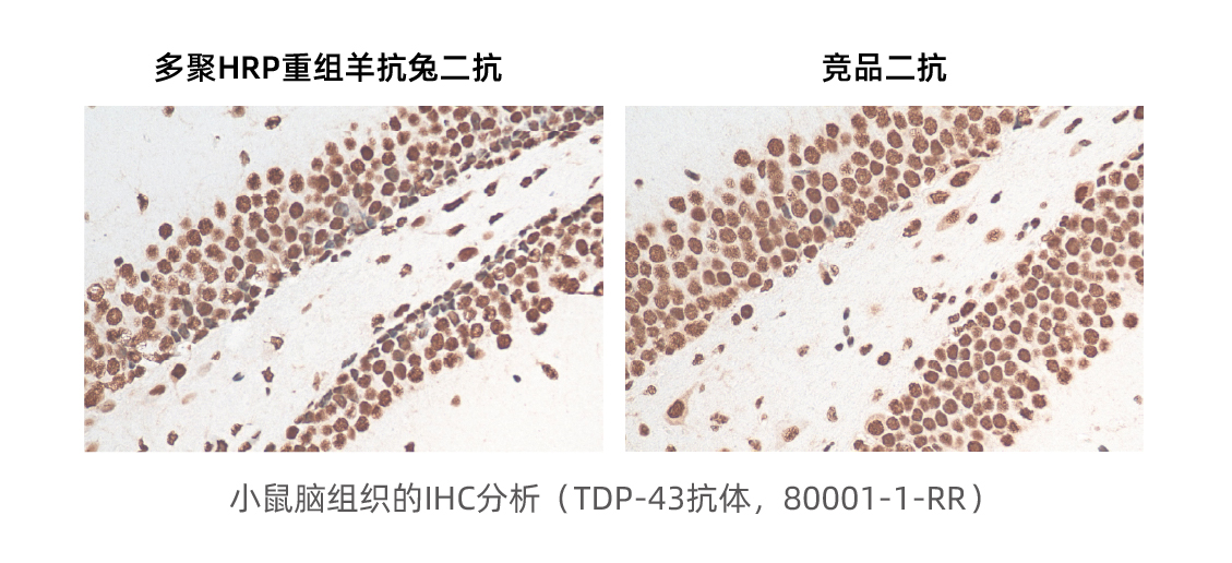 超强信号 2
