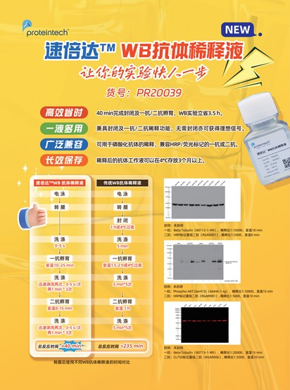 速倍达™WB抗体稀释液单页