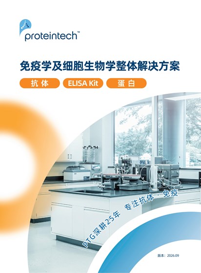 品牌介绍折页