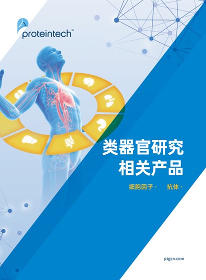 类器官研究三折页