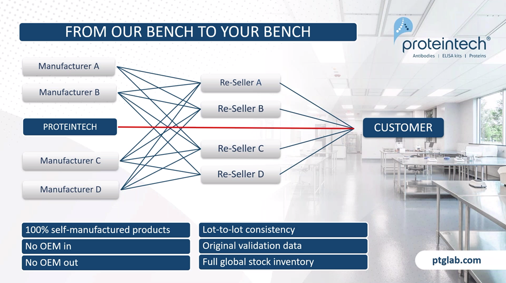 proteintech original antibodies manufactuter