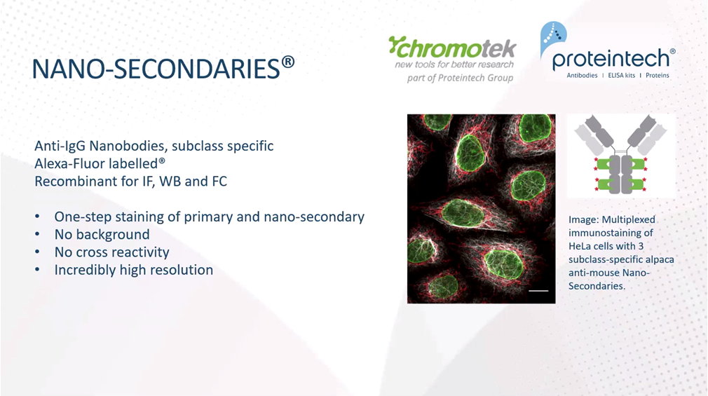 Overview on anti-igg camelid nano secondary antibodies