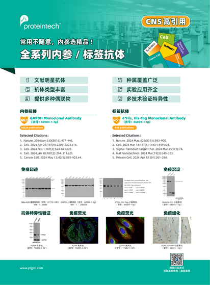 全系列内参&标签抗体