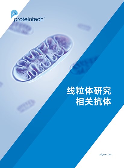 线粒体研究相关抗体