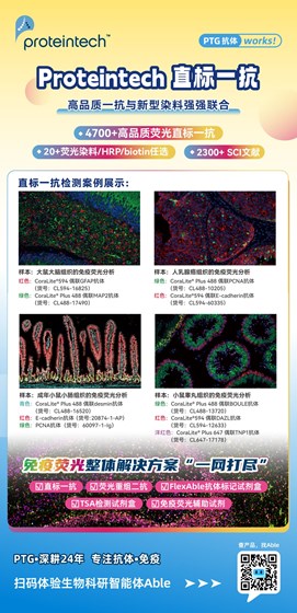 直标一抗
