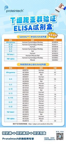 T细胞亚群验证ELISA试剂盒