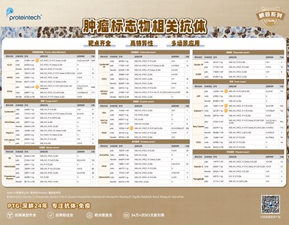 肿瘤标志物相关抗体