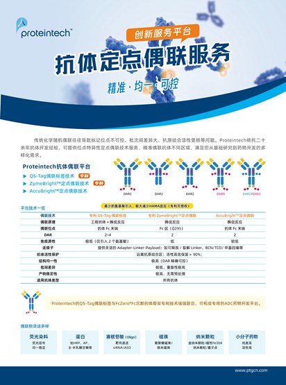 抗体定点偶联服务