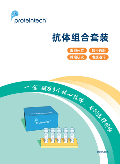 抗体组合套装折页