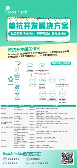 单抗开发解决方案