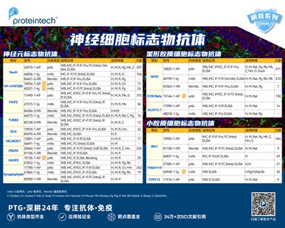 神经细胞标志物抗体