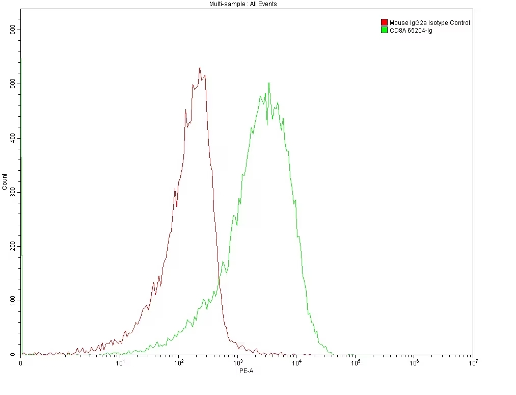 Flow cytometry (FC) analysis of 1X10^6 MOLT4 cells surface stained with 0.2 ug anti-Human CD8 antibody (65204-1-Ig, Clone: UCHT4) and Mouse IgG2a Isotype Control antibody (66360-3-Ig). Multi-rAb CoraLite® Plus 555-Goat Anti-Mouse Recombinant Secondary Antibody (H+L) (RGAM003) was used for detection.