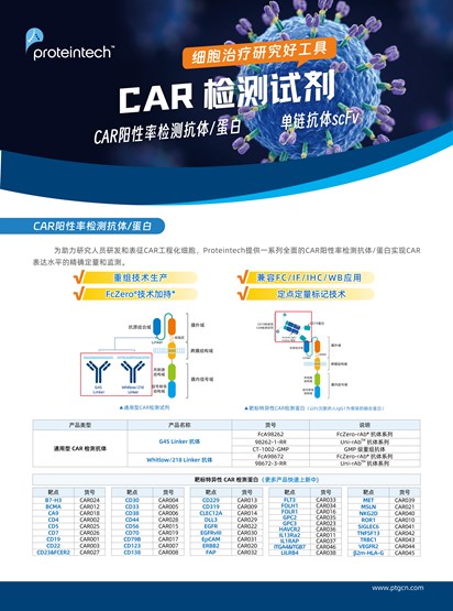 CAR检测试剂单页