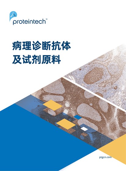 病理抗体及试剂原料目录