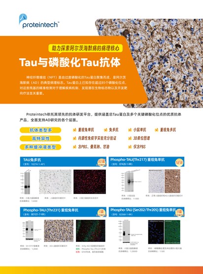 Tau抗体合集