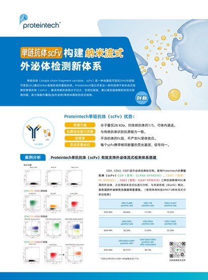 单链抗体scFv