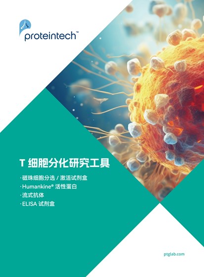 T细胞分化研究工具折页