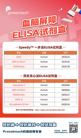 血脑屏障ELISA试剂盒